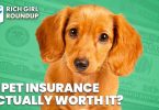 Pet insurance