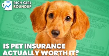 Pet insurance