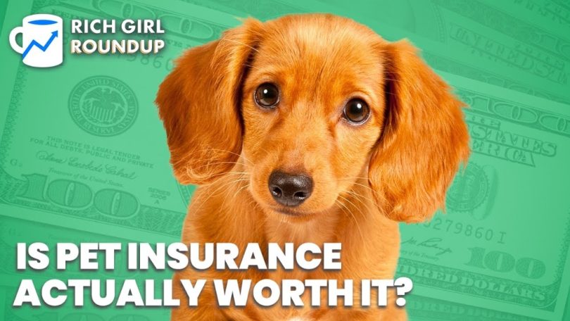 Pet insurance